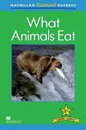 Macmillan Factual Readers: Level 2+: What Animals Eat - Brenda Stones