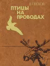 Птицы на проводах - В. Песков