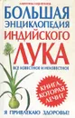 Большая энциклопедия индийского лука - Алевтина Корзунова