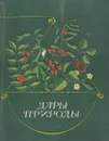 Дары природы - А. Д. Джангалиев, Б. С. Родионов