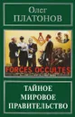 Тайное мировое правительство. Война против России - Олег Платонов