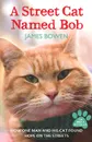 A Street Cat Named Bob: How One Man and His Cat Found Hope on the Streets - James Bowen