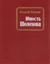 Юность Шолохова: Страницы биографии писателя - Василий Воронов