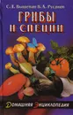 Грибы и специи - С. Л. Выщепан, В. А. Русанов