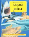 Эти удивительные акулы и киты и другие обитатели морских глубин - Руперт Мэтьюз,Колин Кларк