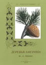 Деревья Америки - Ф.-А. Мишо