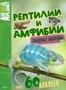 Рептилии и амфибии - Анатолий Михеев,Валентина Бологова