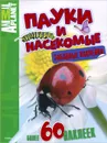 Пауки и насекомые - Анатолий Михеев,Елена Цыпилева
