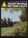 Лекарственные растения в быту - Л. Я. Скляревский, И. А. Губанов