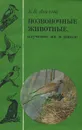 Позвоночные животные, изучение их в школе - К. В. Авилова