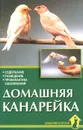 Домашняя канарейка. Содержание. Разведение. Профилактика заболеваний - А. Рахманов