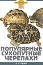 Популярные сухопутные черепахи - А. Гуржий