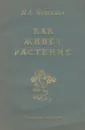 Как живет растение - Н. А. Максимов