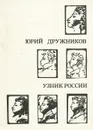 Узник России. По следам неизвестного Пушкина - Юрий Дружников