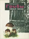 Грибы наших лесов - Горовой Антон Борисович