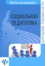 Социальная педагогика. Шпаргалка - Д. В. Альжев