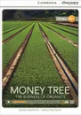 Money Tree: The Business of Organics: Level B2+ - Caroline Shackleton, Nathan Paul Turner