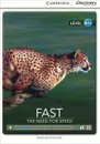 Fast: The Need for Speed: Level A1+ - Genevieve Kocienda