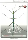 Weird Animals: Level A2 - Genevieve Kocienda