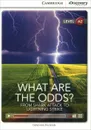 What Are the Odds? From Shark Attack to Lightning Strike: Low Intermediate Book with Online Access - Genevieve Kocienda