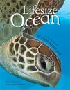 Lifesize Ocean - Anita GANERI