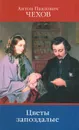 А. П. Чехов. Собрание сочинений. Том 3. Цветы запоздалые - Чехов Антон Павлович