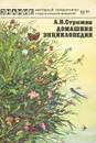 Домашняя энциклопедия - Стрижев Александр Николаевич