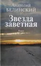 Звезда заветная - Анатолий Белинский