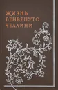 Жизнь Бенвенуто Челлини - Бенвенуто Челлини