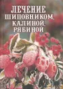 Лечение шиповником, калиной, рябиной - Илья Рощин