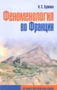 Феноменология во Франции. Историко-философские очерки - И. С. Вдовина