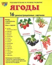 Ягоды (набор из 16 демонстрационных картинок) - Т. В. Цветкова, Т. А. Шорыгина