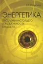 Энергетика. Проблемы настоящего и возможности будущего - В. Г. Родионов