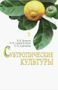 Субтропические культуры. Учебное пособие - В. В. Даньков, М. М. Скрипниченко, Н. Н. Горбачева