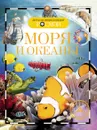 Моря и океаны - И. В. Травина