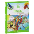 Птицы. Книга с окошками - Владимир Бабенко