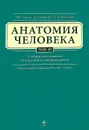 Анатомия человека. Учебник. В 3 томах. Том 3 - Сапин М.Р., Никитюк Д.Б., Клочкова С.В.
