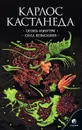 Огонь изнутри. Сила безмолвия - Карлос Кастанеда