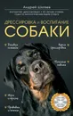 Дрессировка и воспитание собаки (+ DVD-ROM) - Шкляев Андрей Николаевич