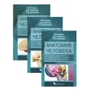 Анатомия человека. Учебник. В 3 томах (комплект из 3 книг) - М. Р. Сапин, Д. Б. Никитюк, С. В. Клочкова