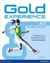 Gold Experience A1: Vocabulary and Grammar: Workbook - Lucy Frino