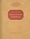 Михаил Иванович Глинка - В. В. Стасов