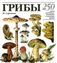 Грибы. 250 видов съедобных, ядовитых и лечебных грибов - М. Н. Сергеева, Н. Г. Замятина, Л. В. Гарибова