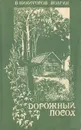Дорожный посох - В. Никифоров-Волгин