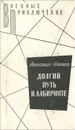 Долгий путь в лабиринте - Александр Насибов