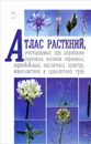 Атлас растений, учитываемых при апробации сортовых посевов зерновых, зернобобовых, масличных культур, многолетних и однолетних трав. Учебное пособие - Валентина Рубец,Владимир Пыльнев,Анатолий Березкин,Ольга Буко,Хоссин Дждиед,Екатерина Комарова