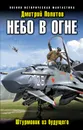 Небо в огне. Штурмовик из будущего - Дмитрий Политов