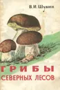 Грибы северных лесов - В. И. Шубин