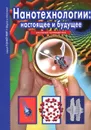 Нанотехнологии. Настоящее и будущее. Школьный путеводитель - Г. Т. Черненко