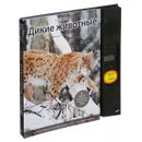 Дикие животные. Иллюстрированная энциклопедия обитателей средней полосы России. Книжка-игрушка - Ксения Митителло